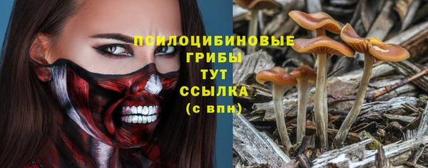 бутират Переславль-Залесский