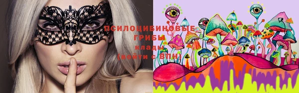 гидропоника Абдулино