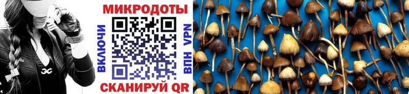 Псилоцибиновые грибы мухоморы  Сергач 